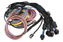 NEXUS R5 + Universal Wire-in Harness Kit | 2.5m (8')-2