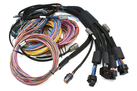 NEXUS R5 + Universal Wire-in Harness Kit | 2.5m (8')